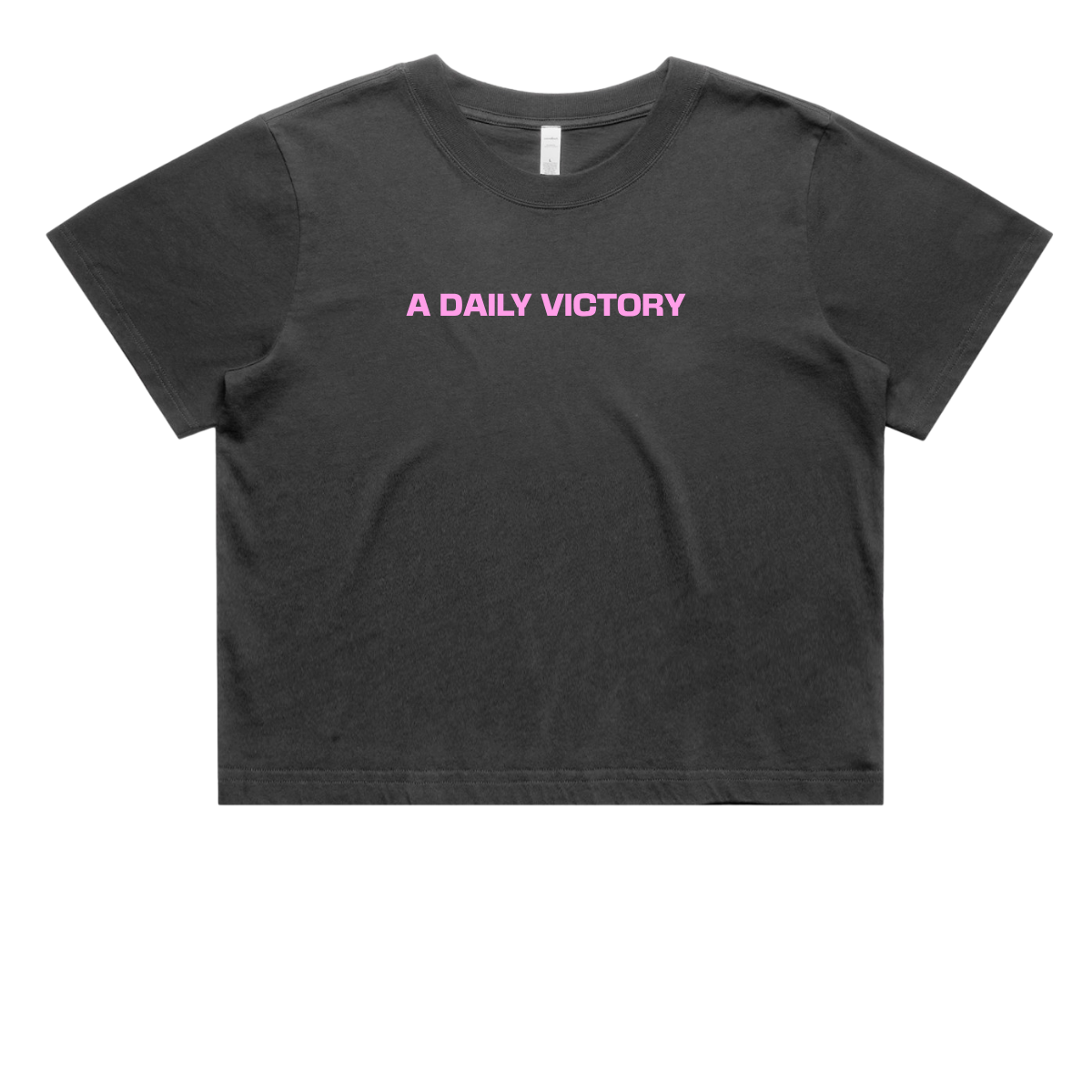 Heavy Faded Crop T-Shirt