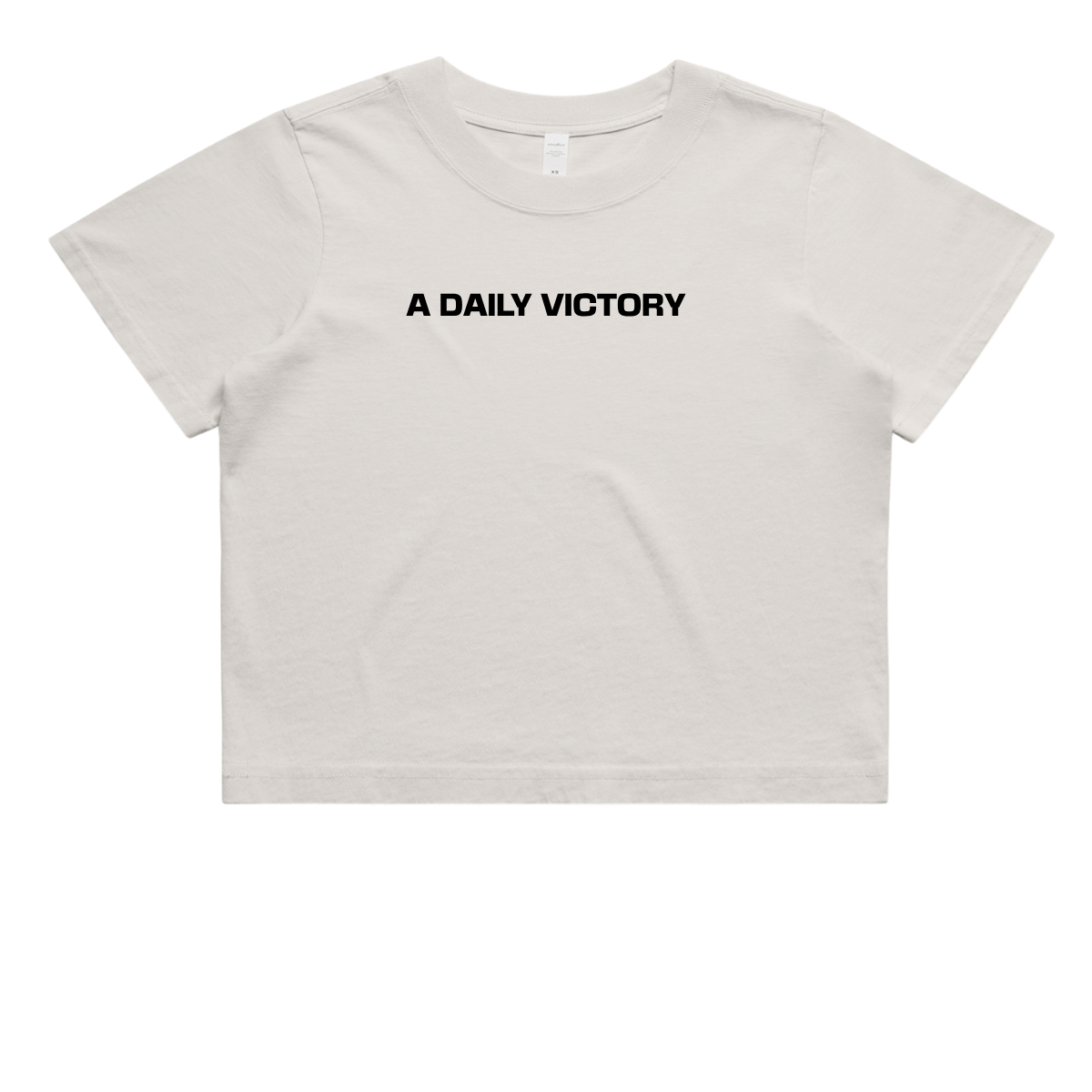 Heavy Faded Crop T-Shirt