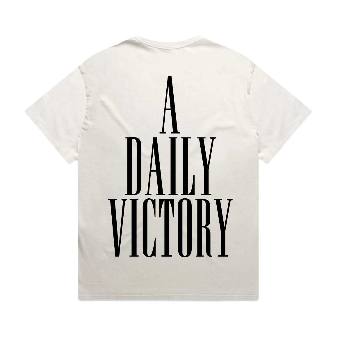 A Daily Victory heavy faded t-shirt in Bone, back
