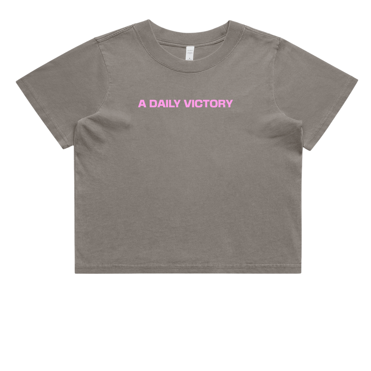 Heavy Faded Crop T-Shirt