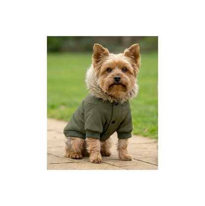 Dog Parka