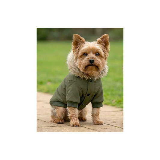 Dog Parka