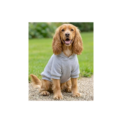 Dog Hoodie