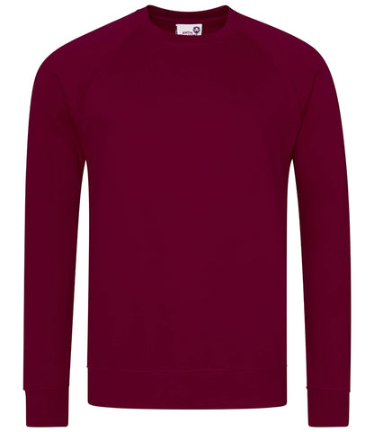AWDis Academy AC001 AWDis Academy Senior Raglan Sweatshirt in Burgundy