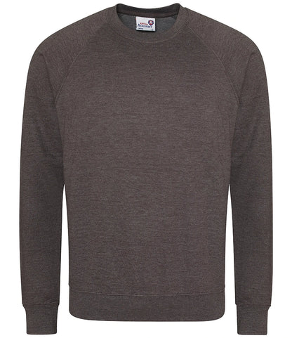 AWDis Academy AC001 AWDis Academy Senior Raglan Sweatshirt in Charcoal