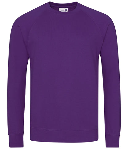 AWDis Academy AC001 AWDis Academy Senior Raglan Sweatshirt in Purple