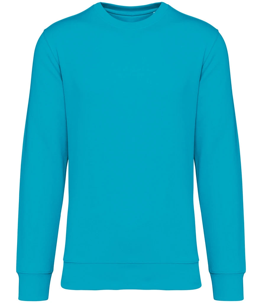 Native Spirit NS400 Native Spirit Unisex Crew Neck Sweatshirt in Light Turquoise