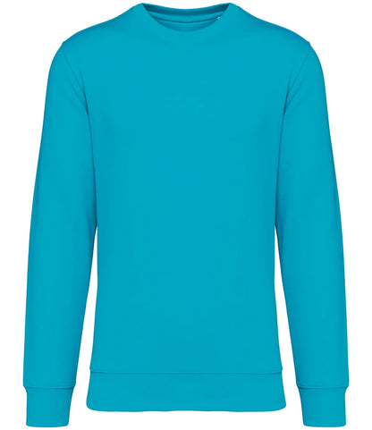 Native Spirit NS400 Native Spirit Unisex Crew Neck Sweatshirt in Light Turquoise