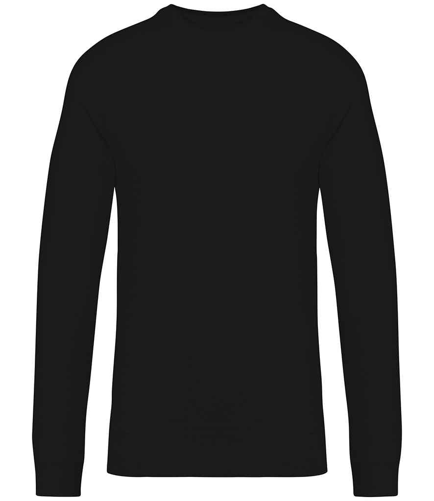 Native Spirit NS423 Native Spirit Unisex Raglan Sleeve Sweatshirt in Black