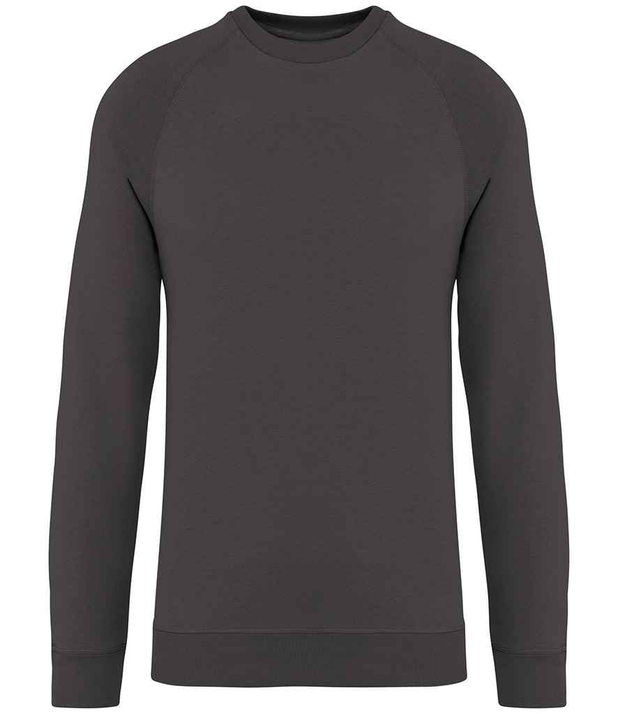 Native Spirit NS423 Native Spirit Unisex Raglan Sleeve Sweatshirt in Iron Grey