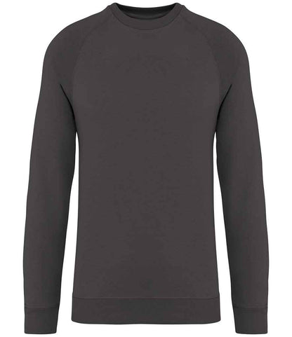 Native Spirit NS423 Native Spirit Unisex Raglan Sleeve Sweatshirt in Iron Grey